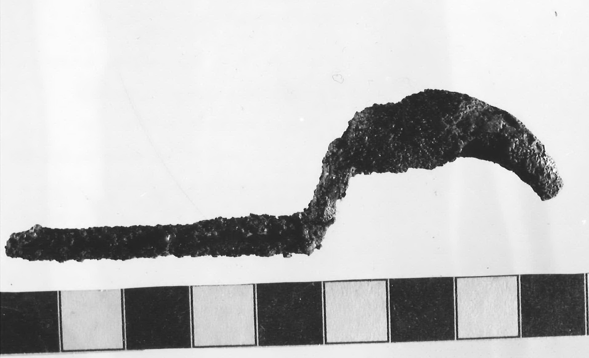 Fibula - Piceno III (inizio secc. VII-VI a.C)