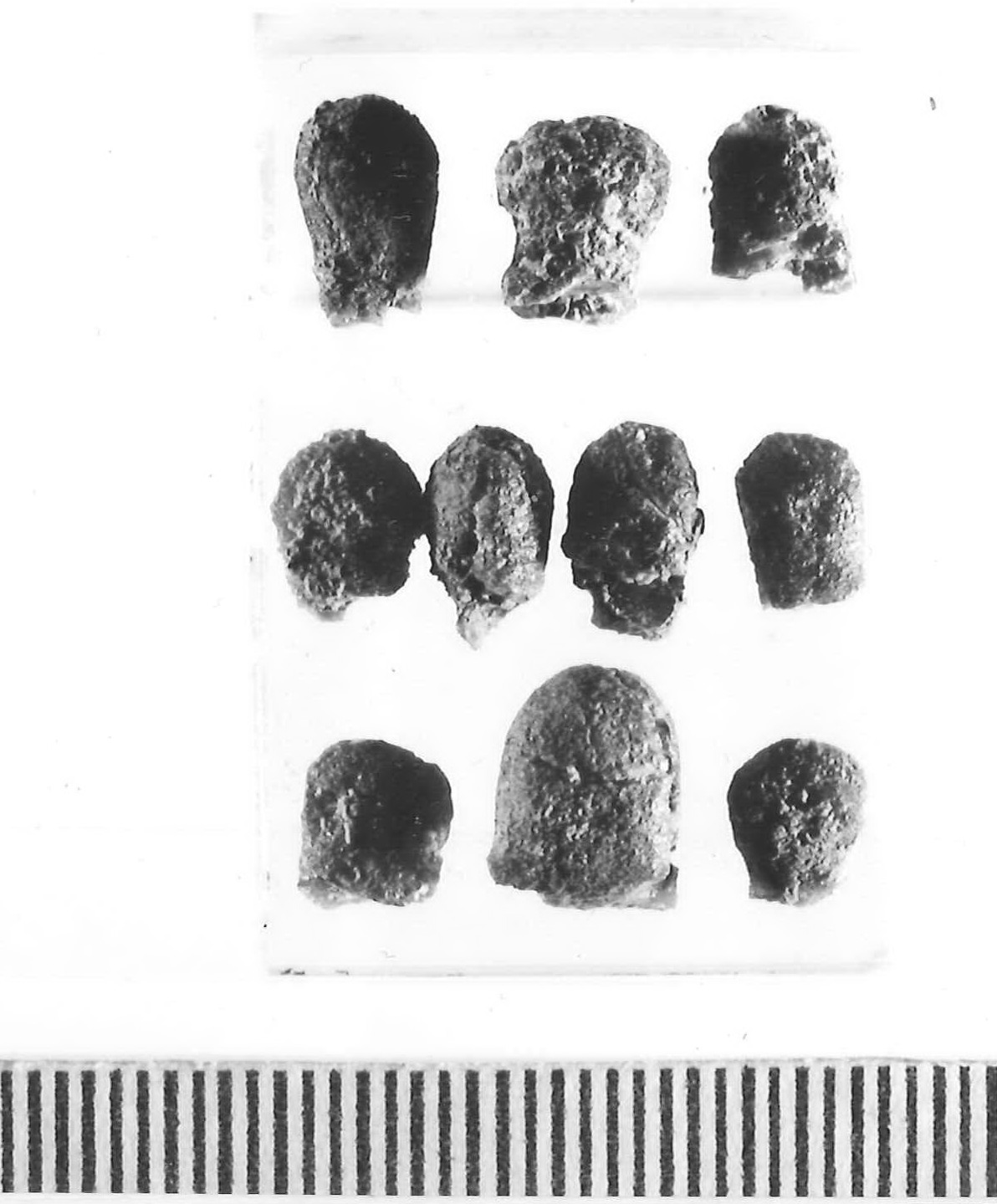 pendenti/ serie - Piceno III (inizio secc. VII-VI a.C)