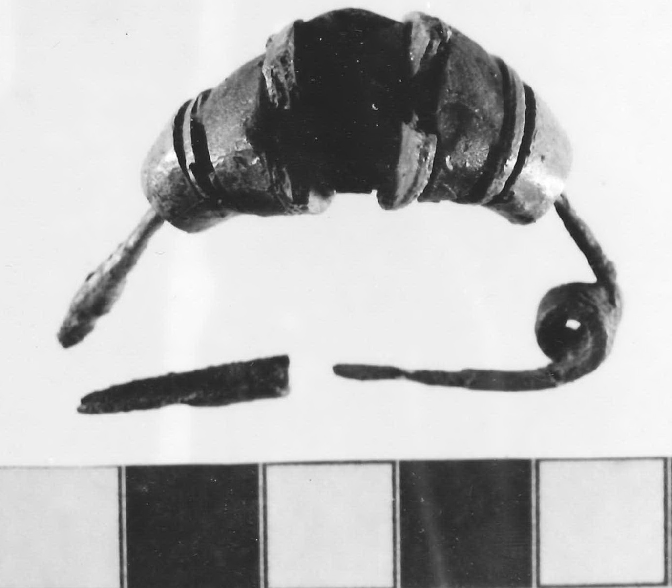 fibula ad arco rivestito - Piceno III (sec. VII a.C)