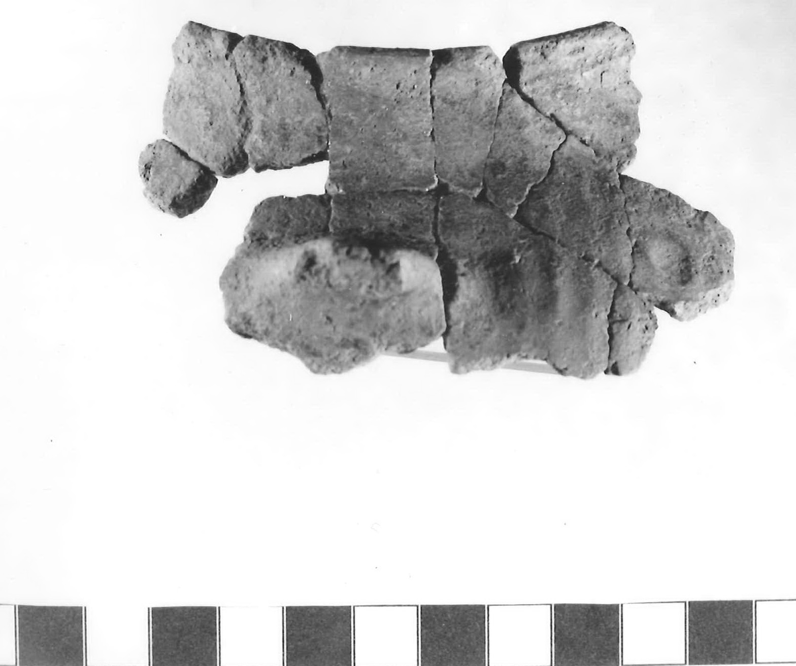 collo di olla - Piceno III (secc. VII-VI a.C)