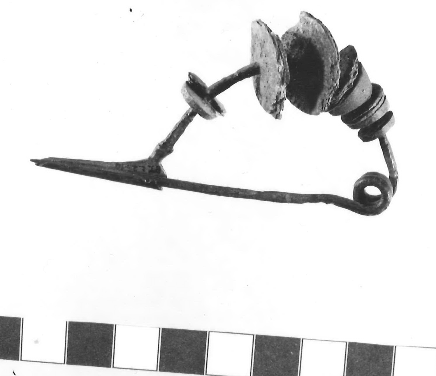 fibula ad arco rivestito - Piceno III (secc. VII-VI a.C)