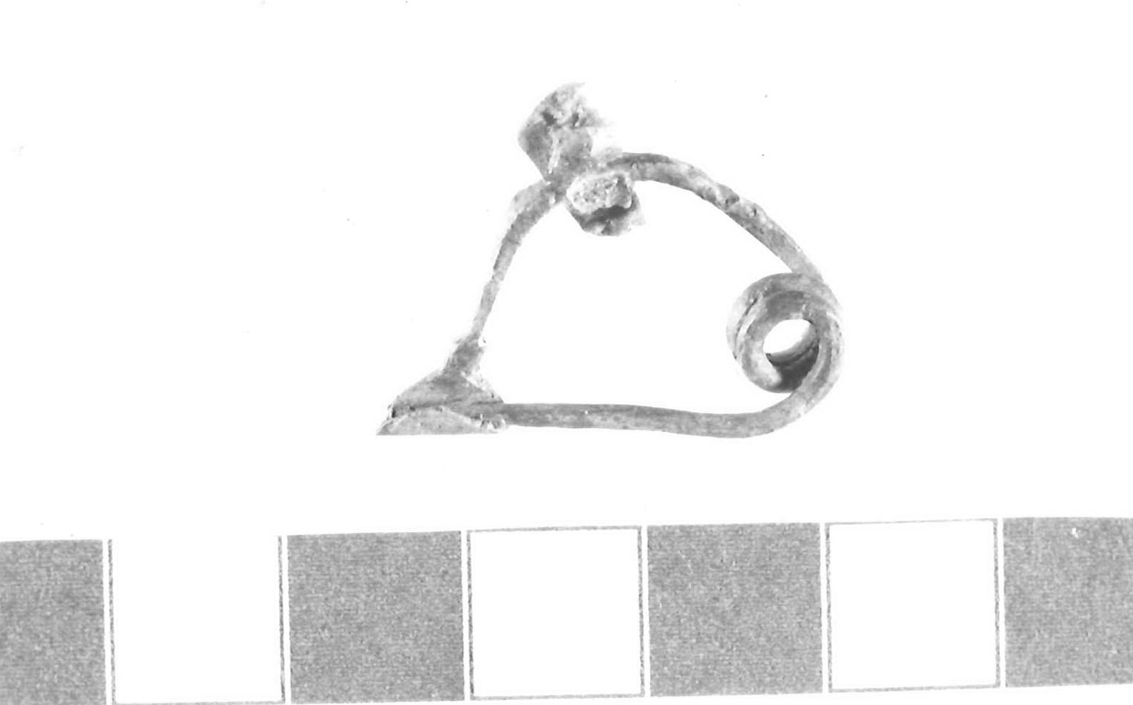 fibula ad arco rivestito - Piceno III (secc. VII-VI a.C)
