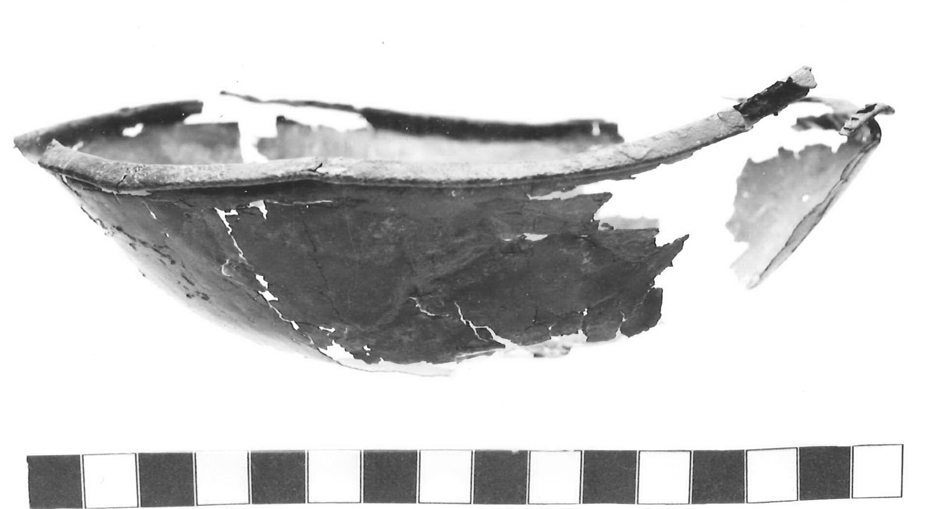 bacino - Piceno III (secc. VII-VI a.C)