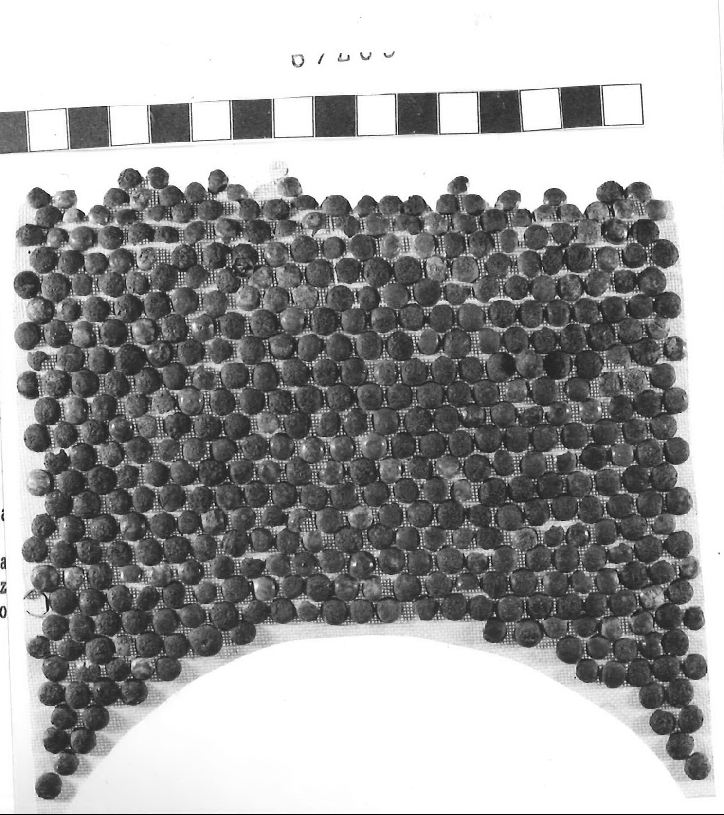 borchietta/ serie - Piceno III (secc. VII-VI a.C)