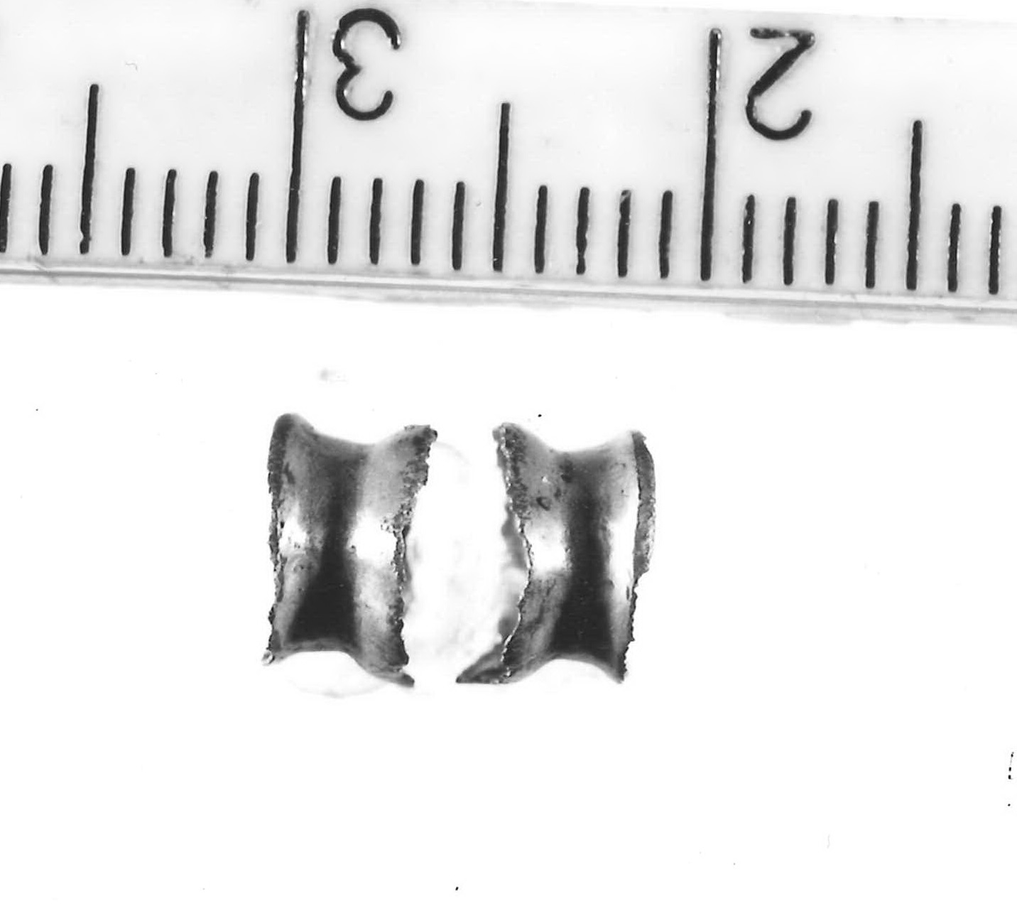 vago a botticella - Piceno III (secc. VII-VI a.C)