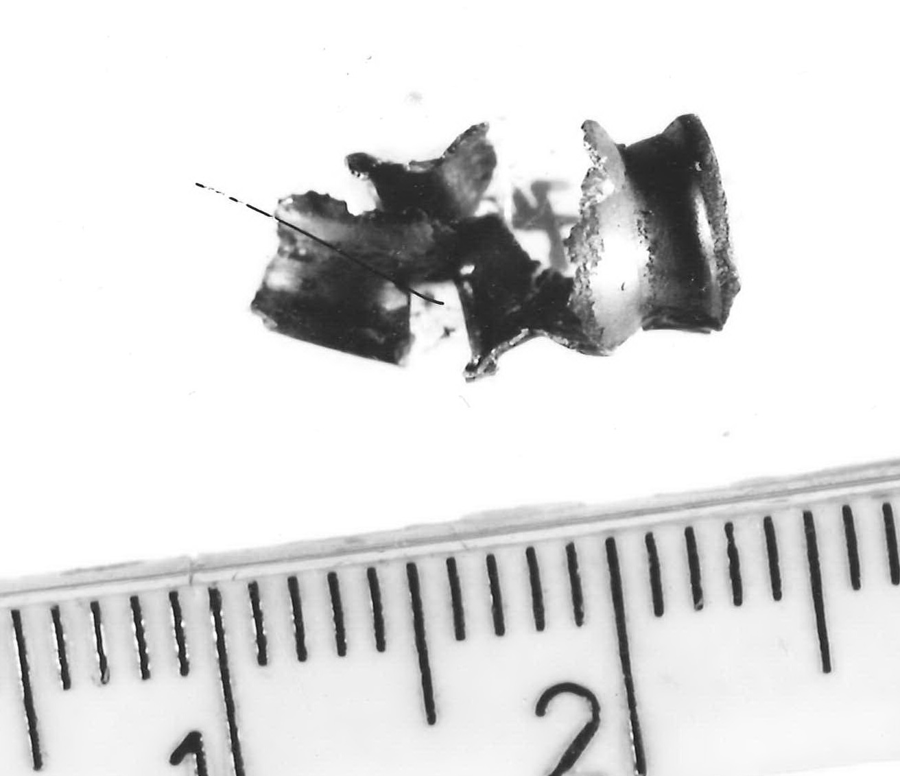 vago a botticella - Piceno III (secc. VII-VI a.C)