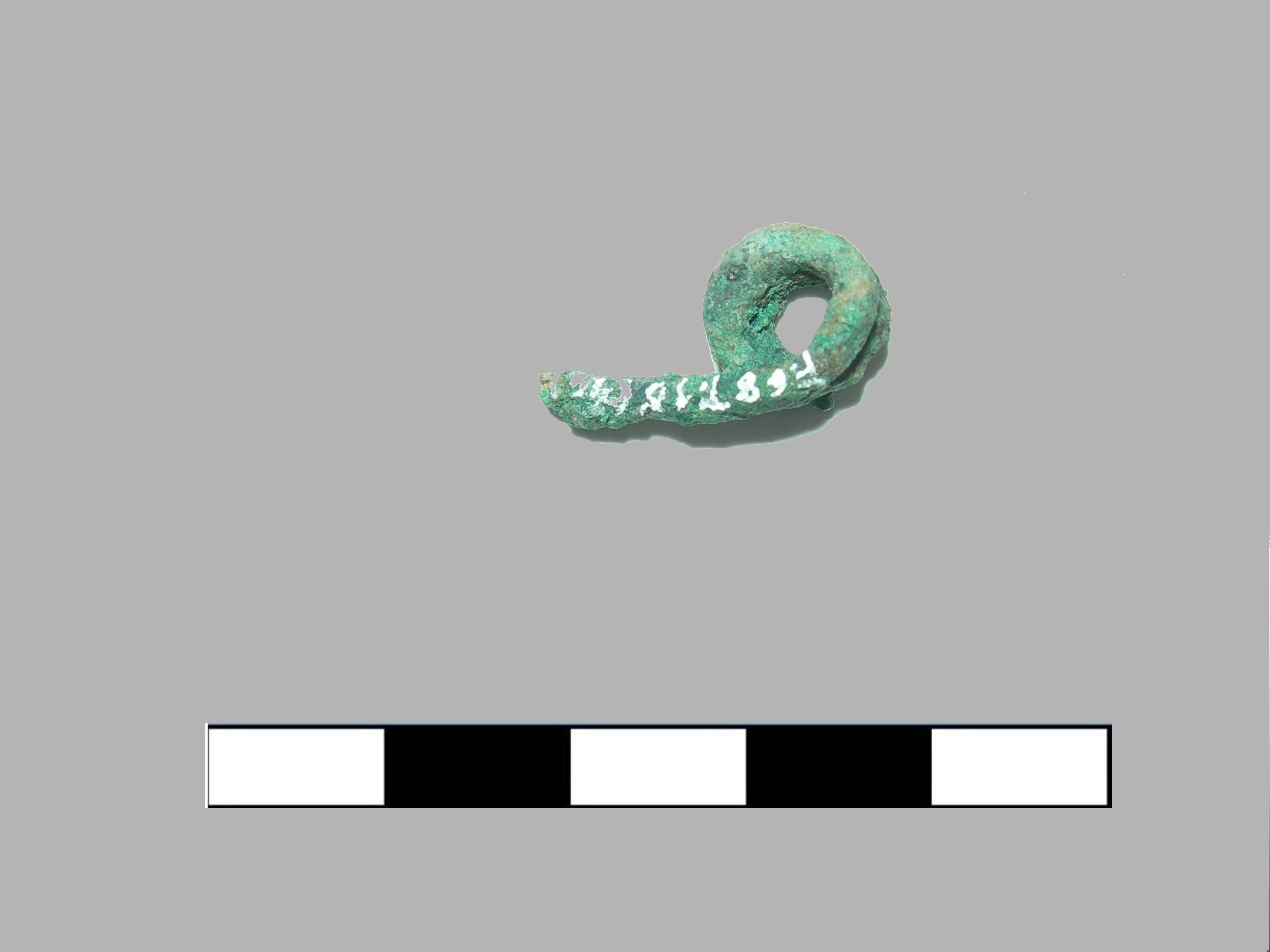 molla di fibula - piceno II (sec. VIII a.C)