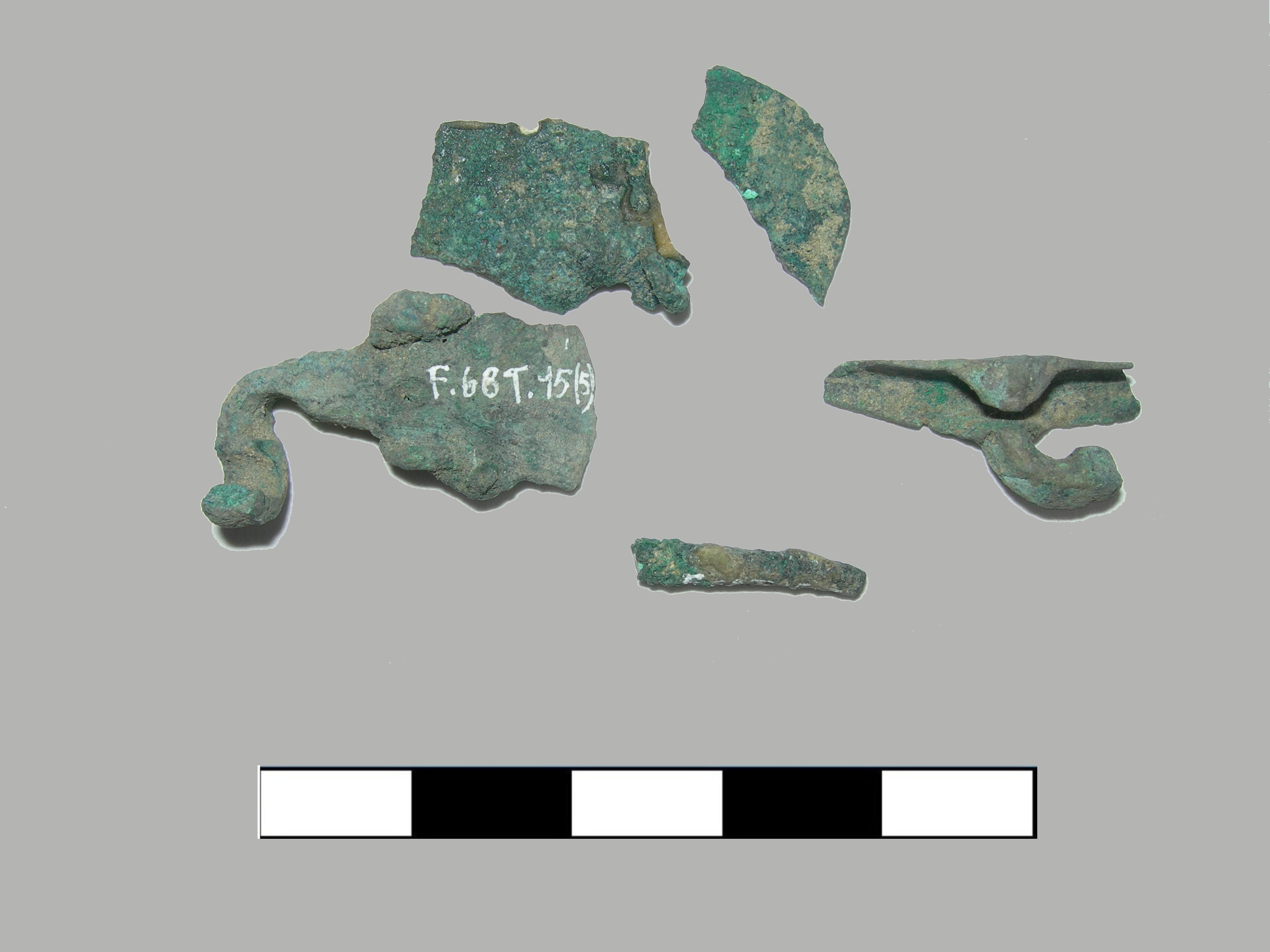 fibula, fibula ad arco foliato - piceno II (sec. VIII a.C)
