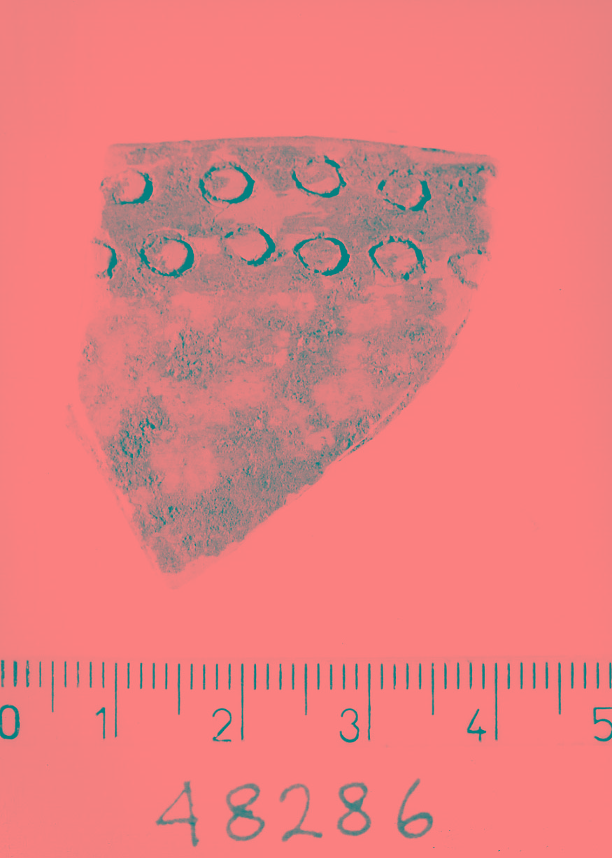 scodella ad orlo rientrante/ frammento (Neolitico finale)