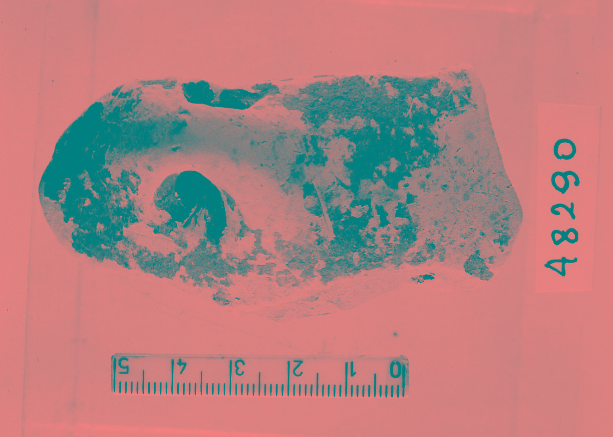 ansa ad anello di olla/ frammento (Neolitico finale)