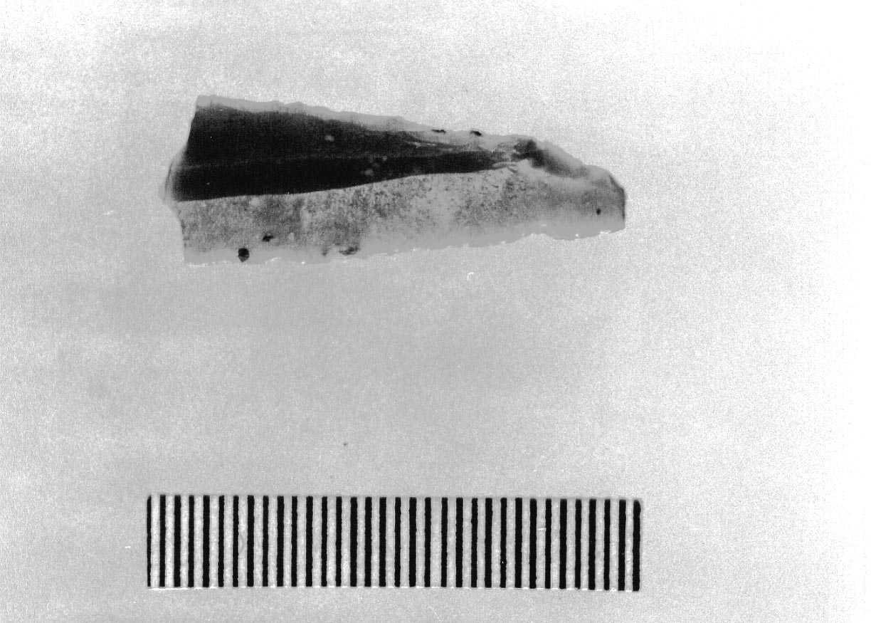 lama a dorso profondo (Neolitico)