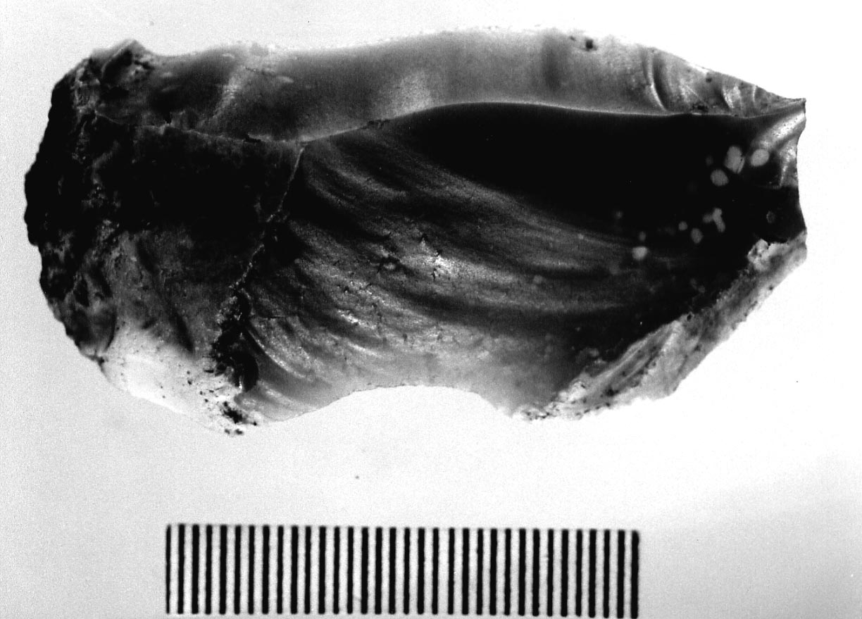 lama non ritoccata (Neolitico)