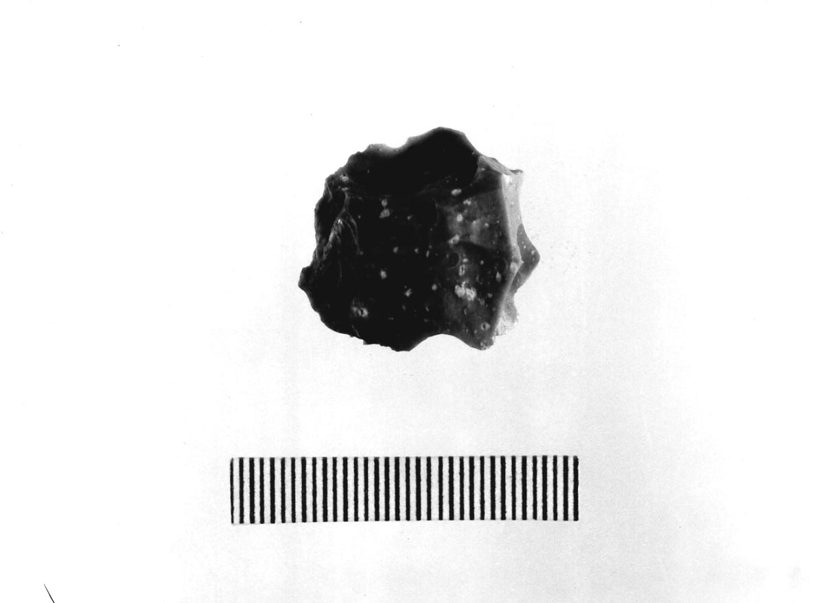 denticolato su scheggia carenoide (Neolitico)