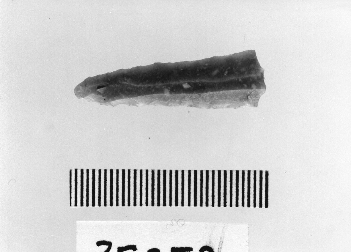 lamella a doppio dorso/ frammento (Neolitico)