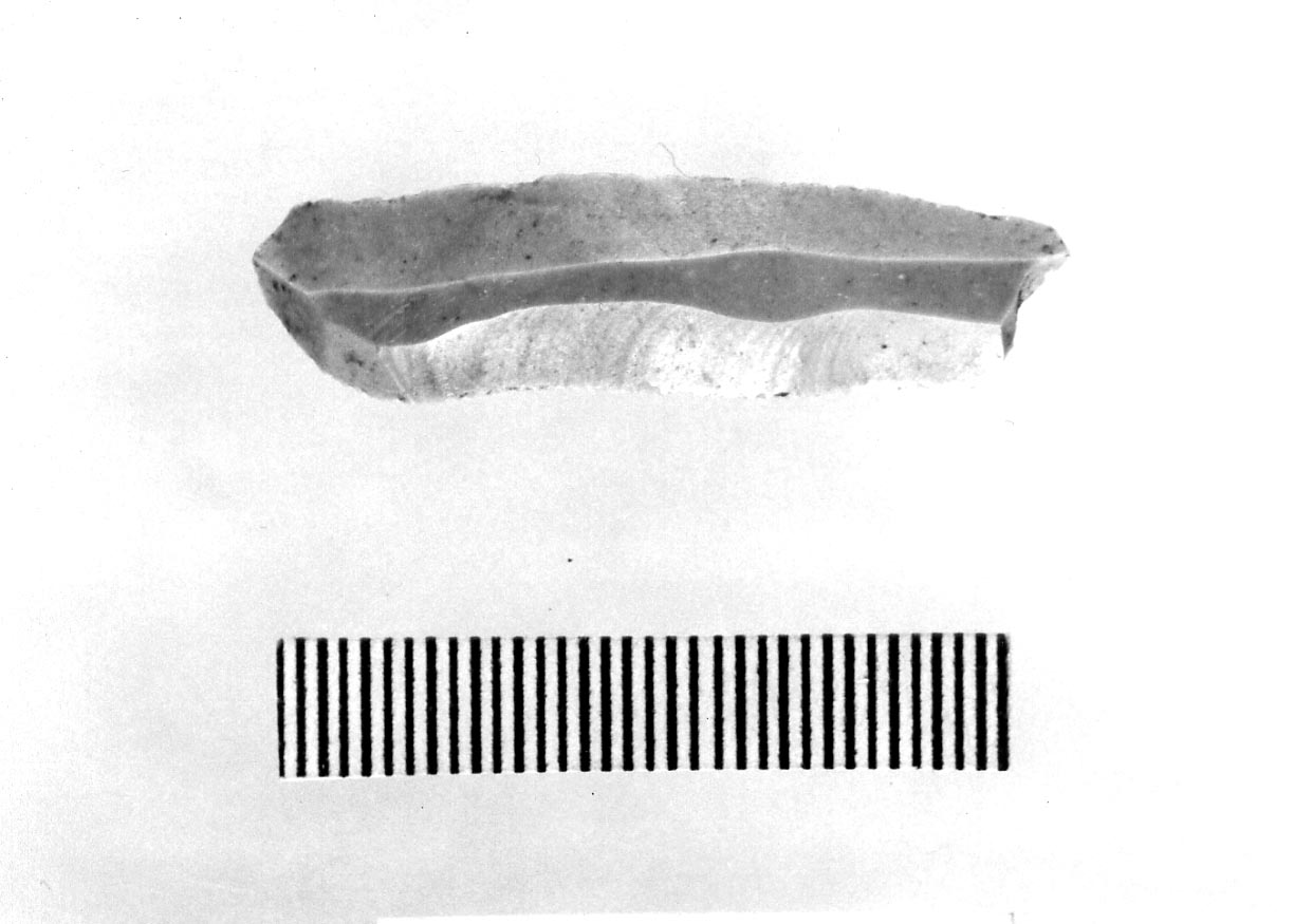 lamella non ritoccata (Neolitico)