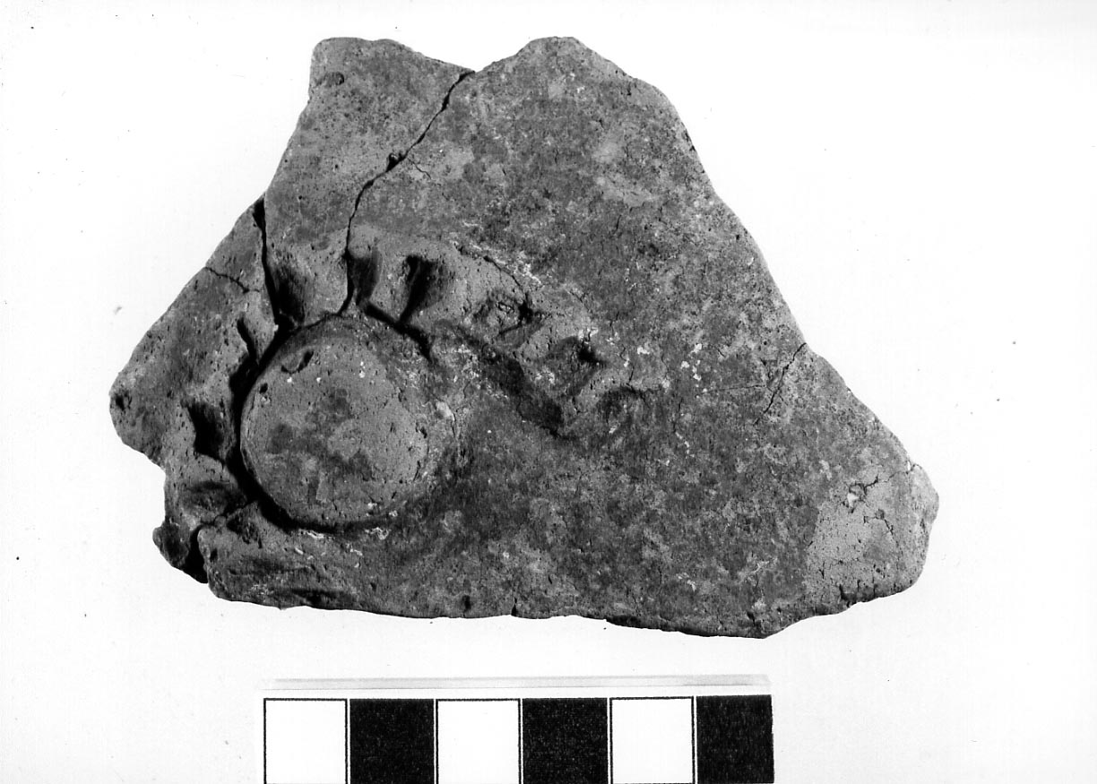 parete/ frammento (Neolitico)