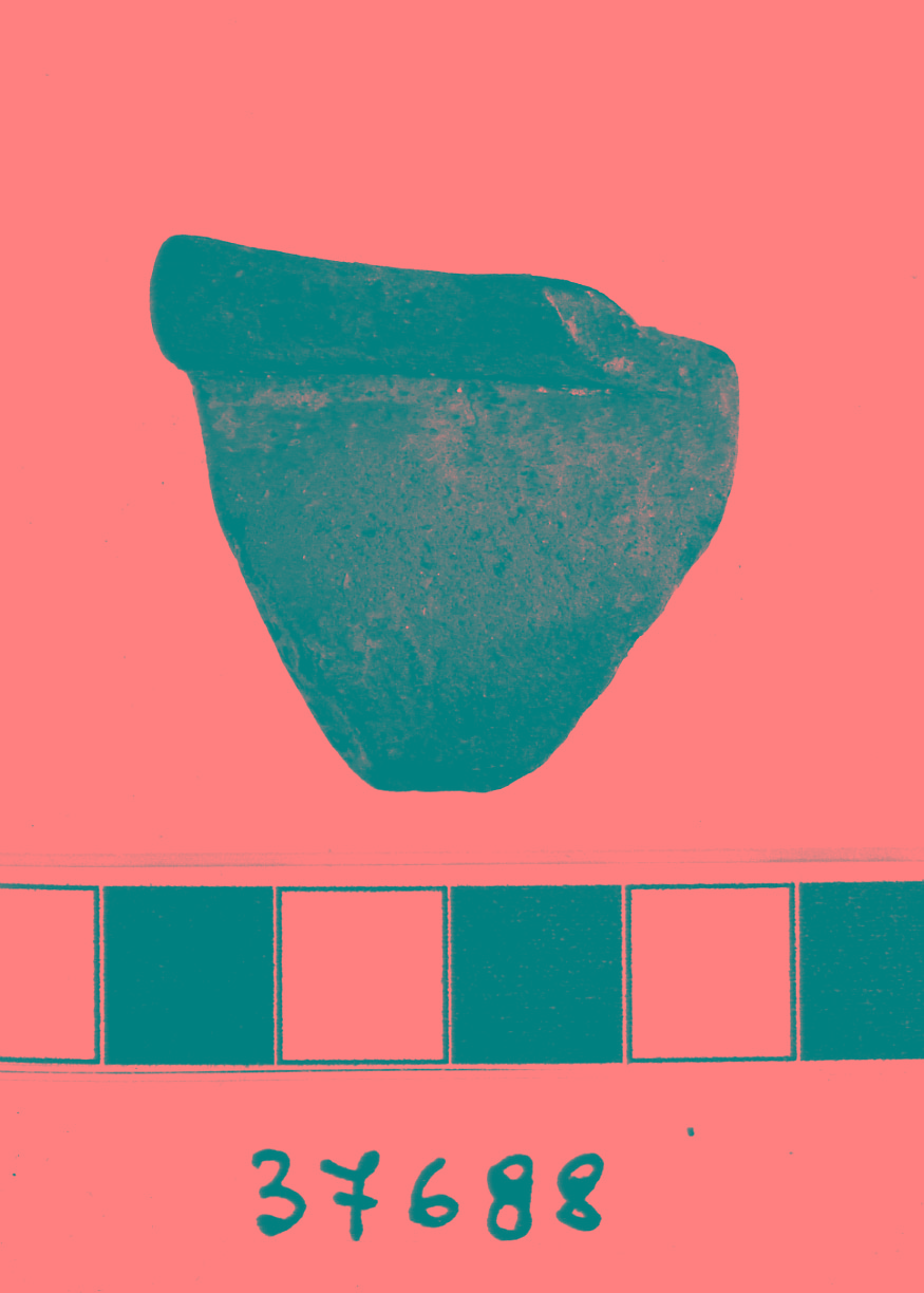 presa a rocchetto, "tipo Diana" (Neolitico)