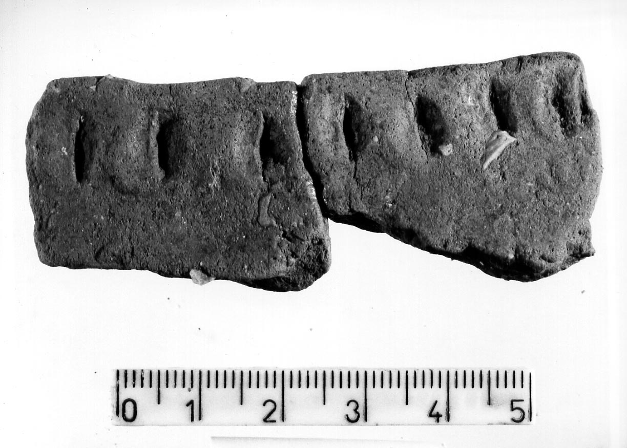 orlo/ frammento (Neolitico)