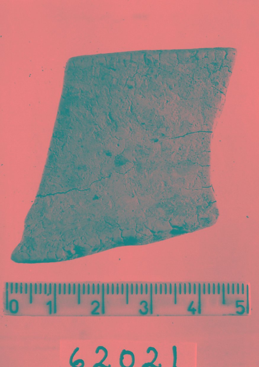 orlo/ frammento (Neolitico)