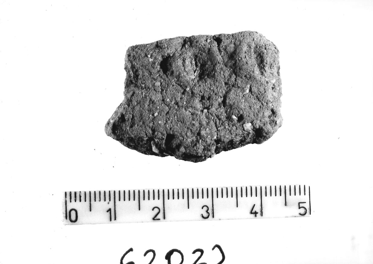 orlo/ frammento (Neolitico)