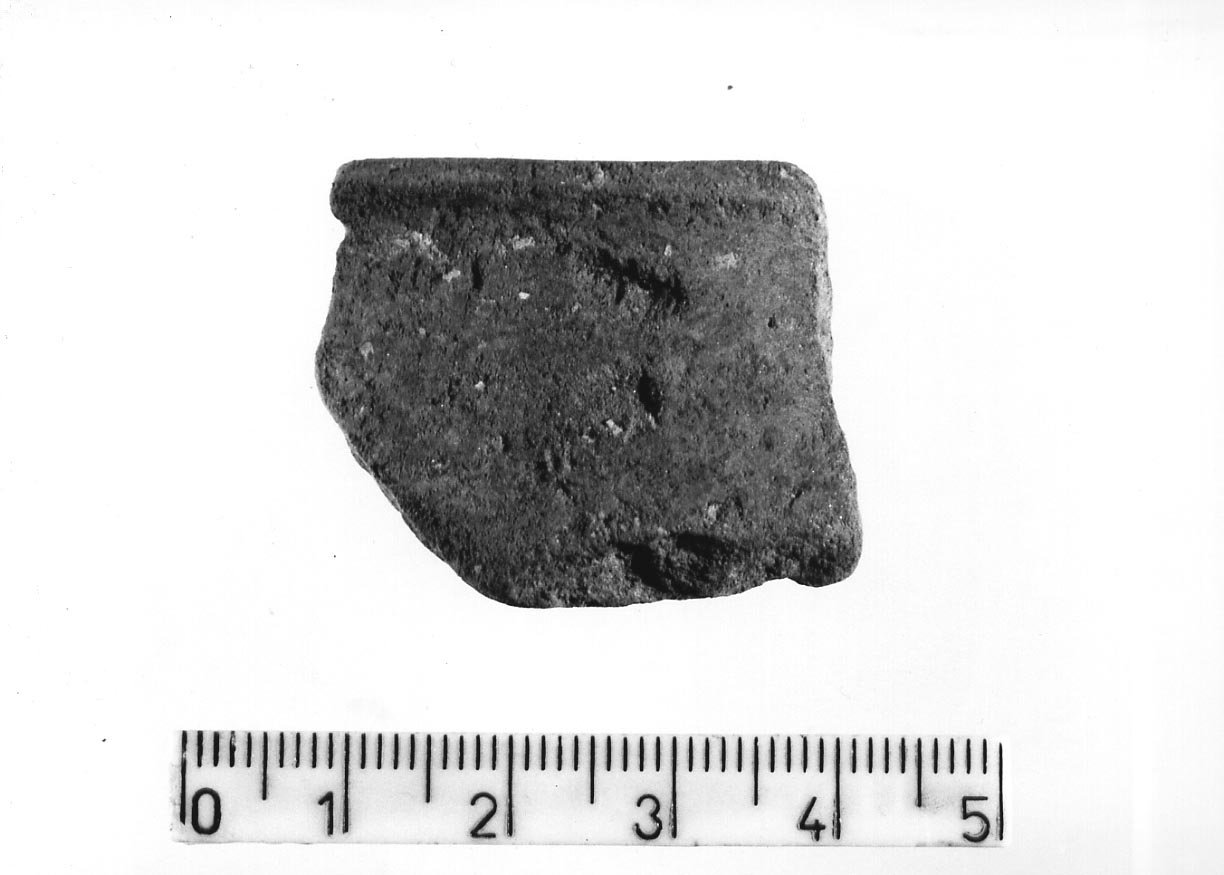 orlo/ frammento (Neolitico)