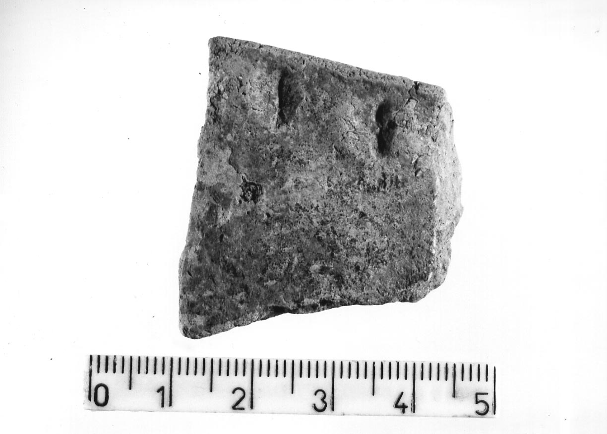 olla/ frammento (Neolitico)