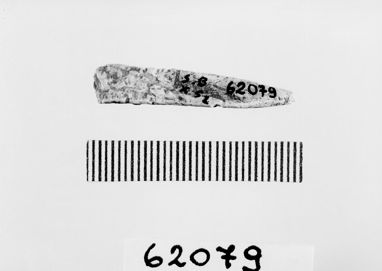 punteruolo/ frammento (Neolitico)