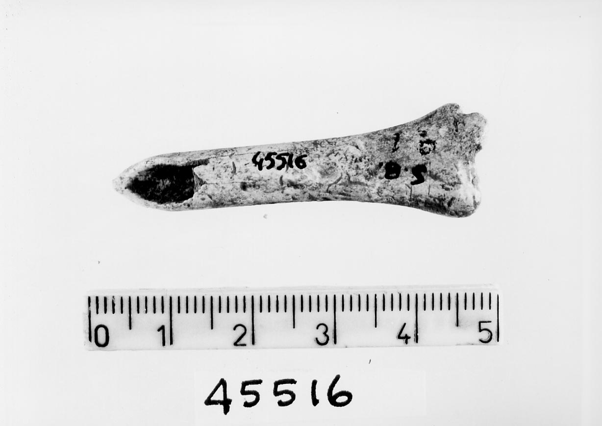 punteruolo (Neolitico)