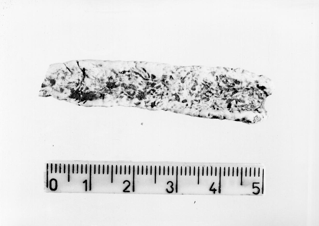 punteruolo/ frammento (Neolitico)