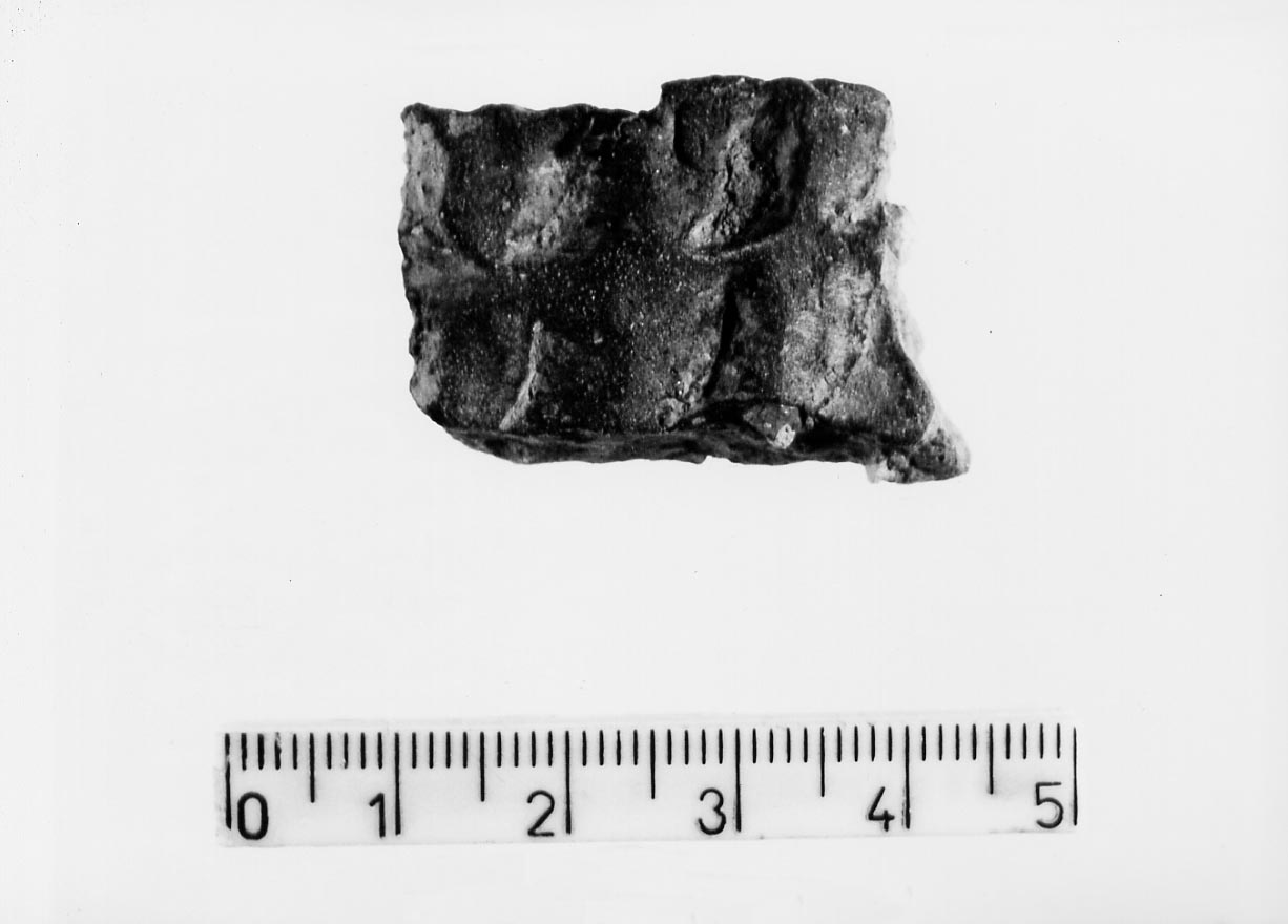 olla/ frammento (Neolitico)