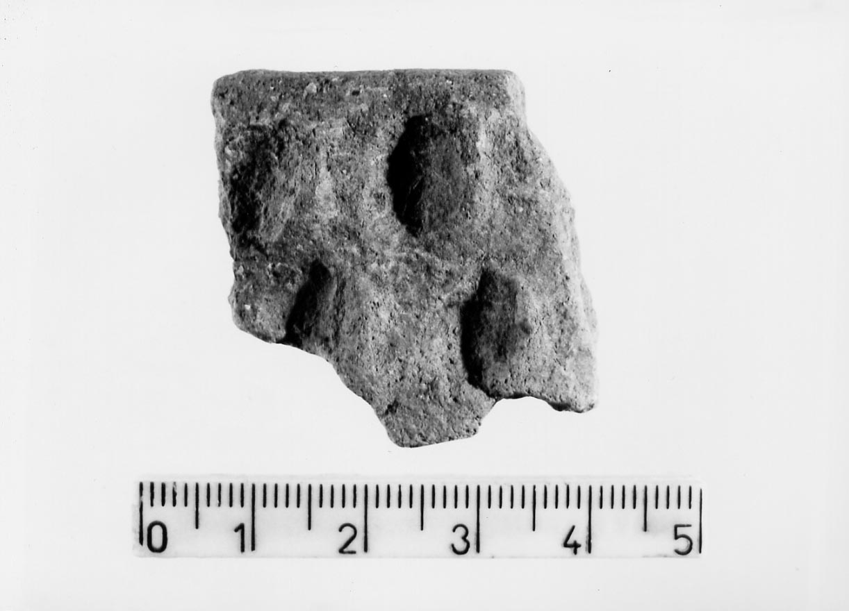 olla/ frammento (Neolitico)
