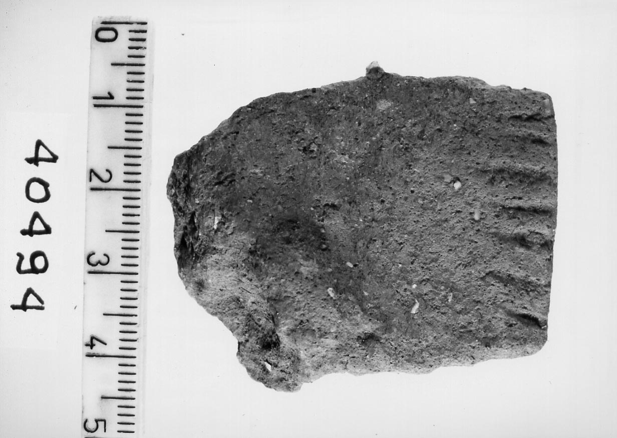 olla/ frammento (Neolitico)