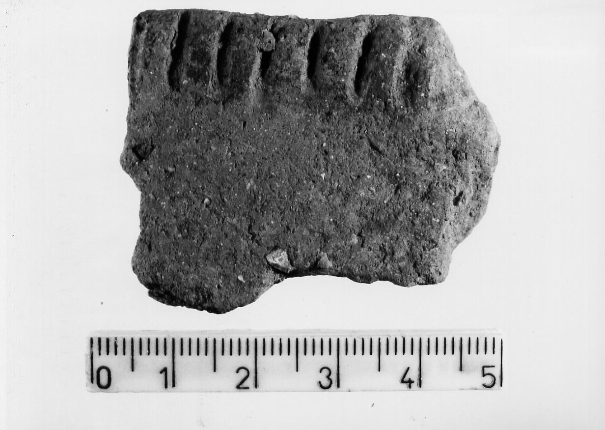olla/ frammento (Neolitico)