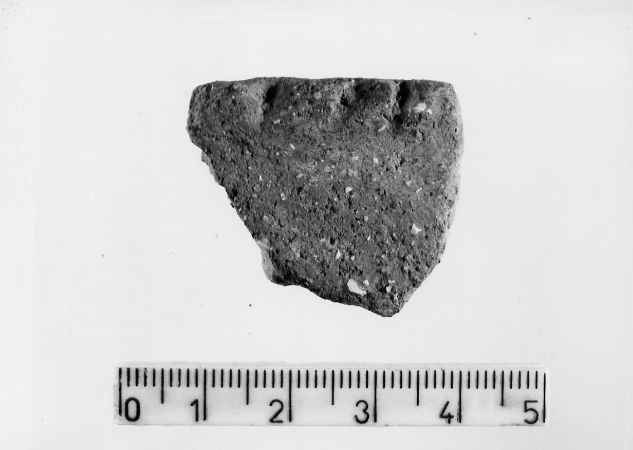 olla/ frammento (Neolitico)
