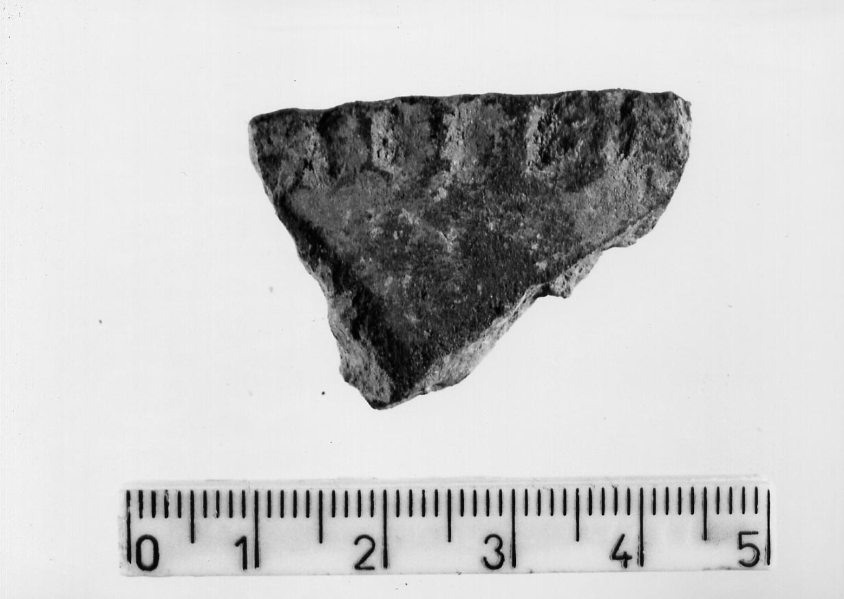 olla/ frammento (Neolitico)