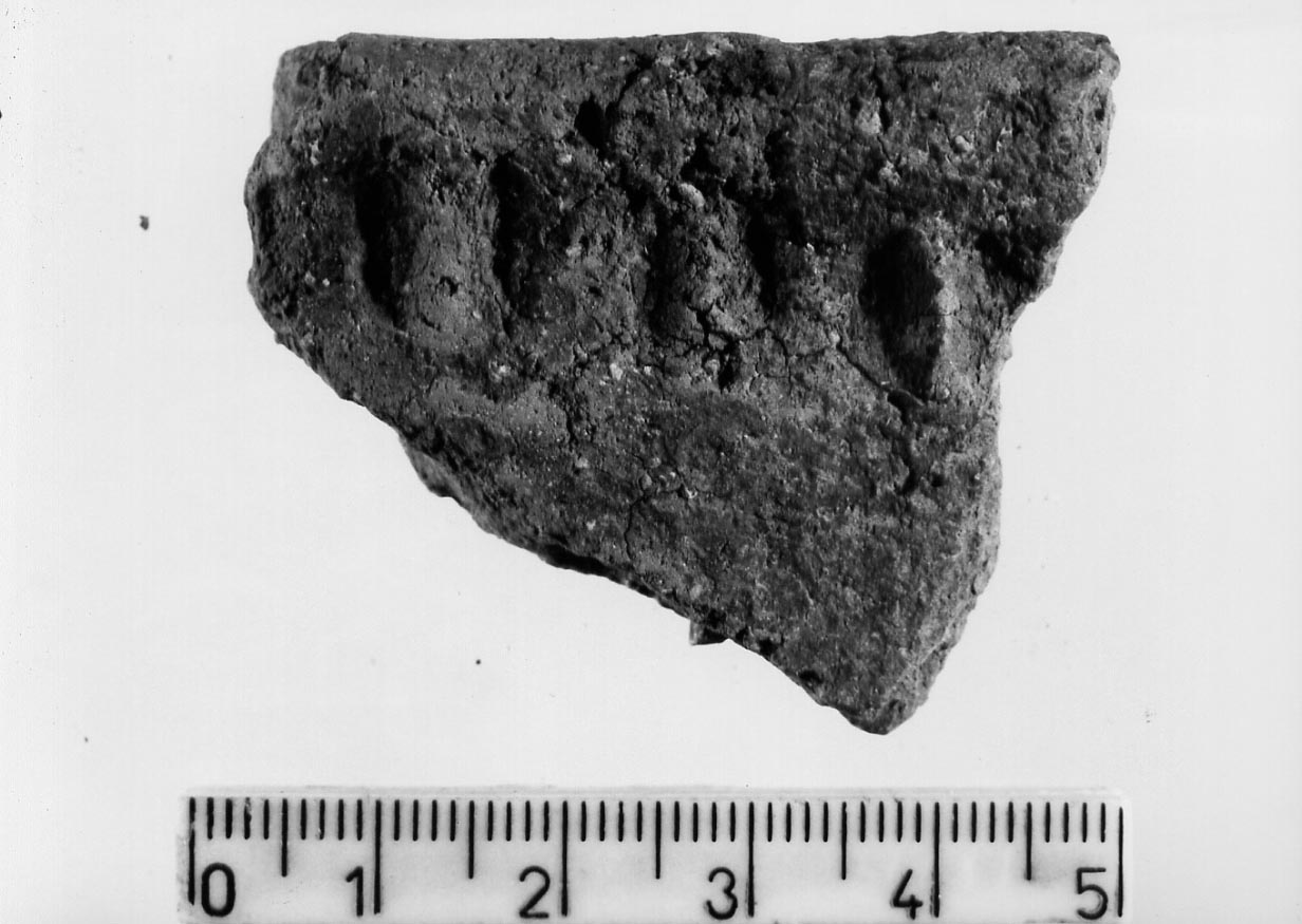 olla/ frammento (Neolitico)