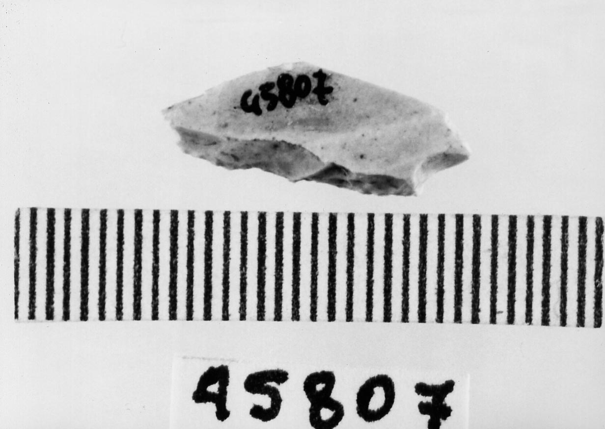 microbulino (Neolitico)