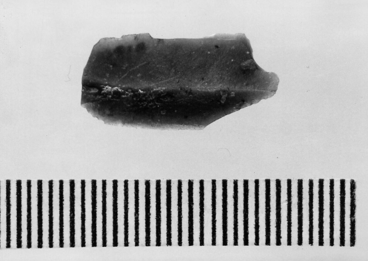 microbulino (Neolitico)