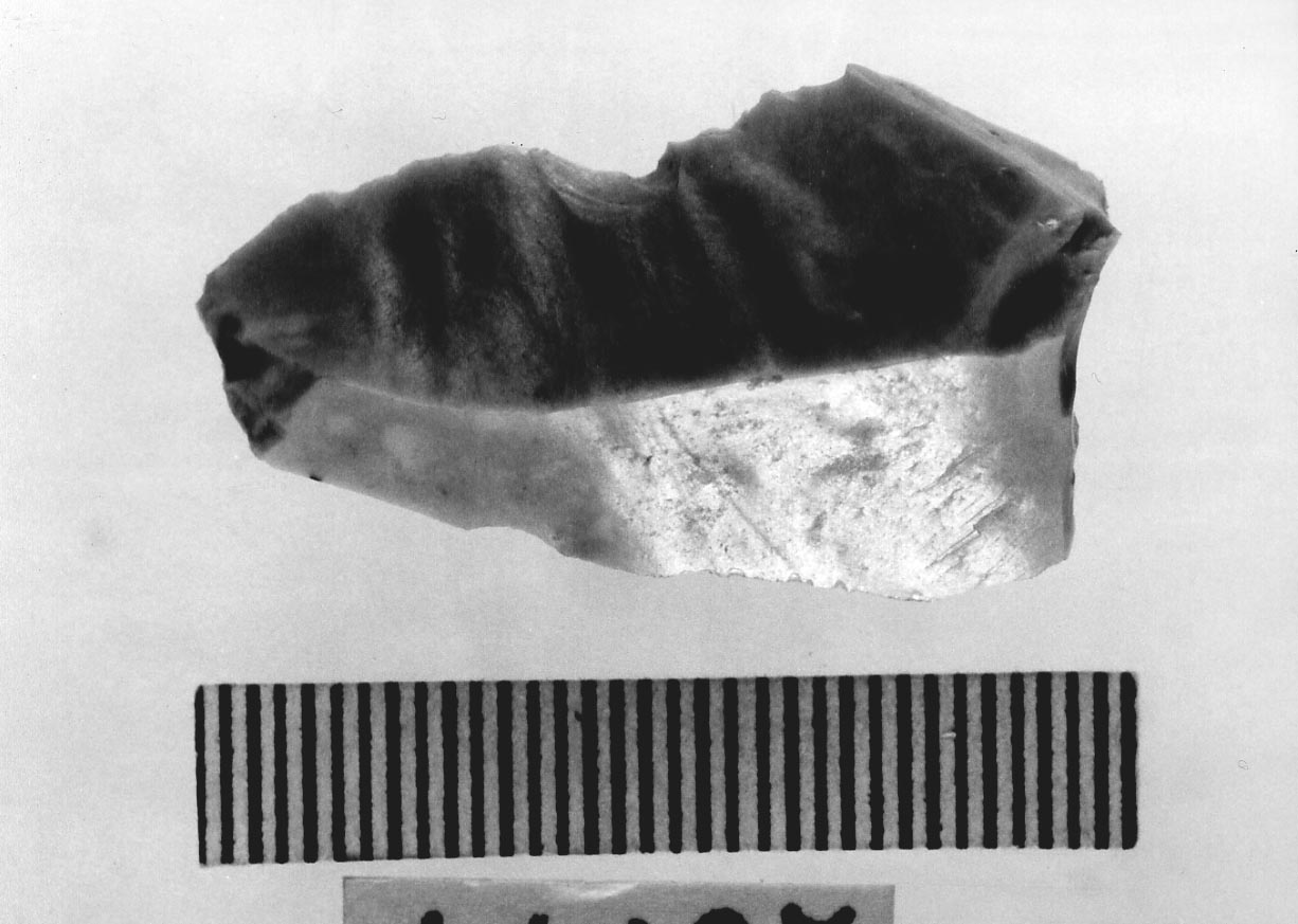 troncatura concava (Neolitico)