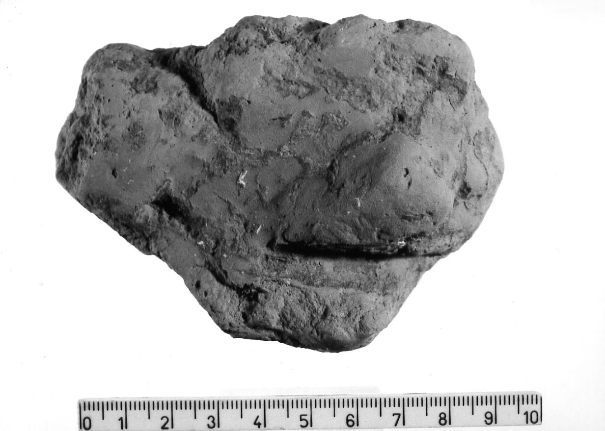 intonaco di capanna/ frammento (Neolitico)