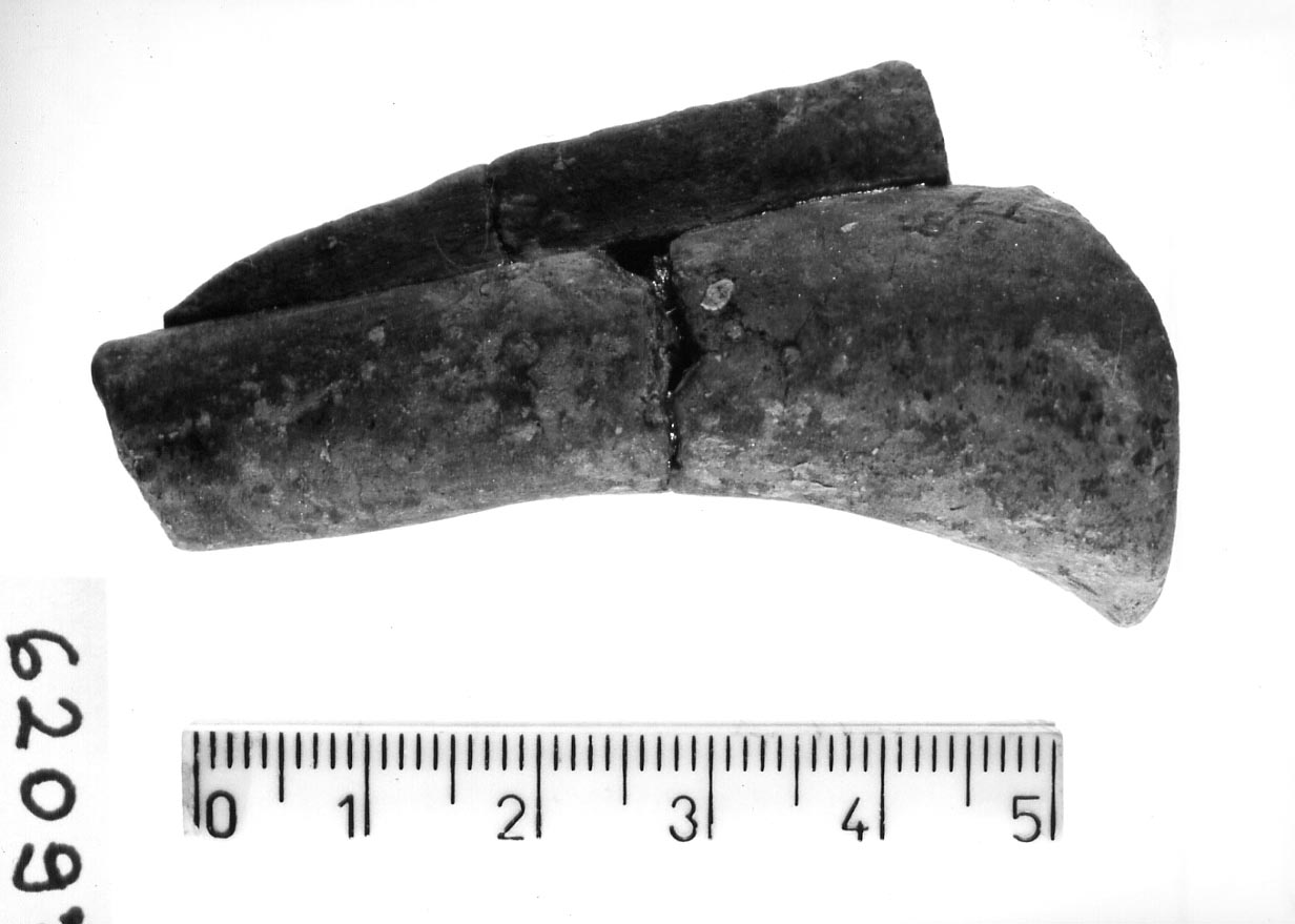 ansa a rocchetto, "tipo Diana" (Neolitico)