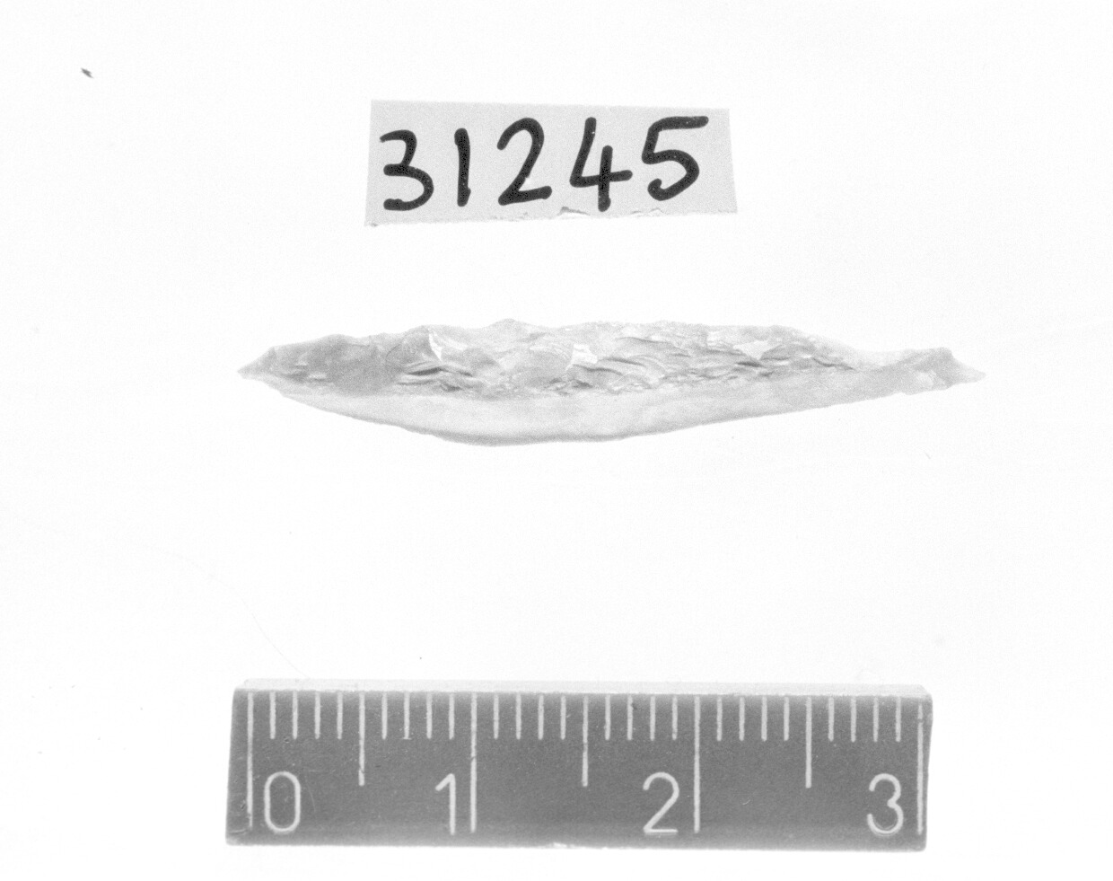 punta a dorso totale/ frammento - Gravettiano (Paleolitico superiore)