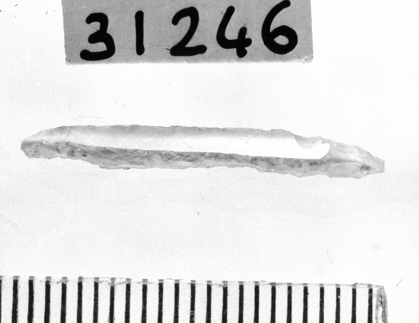 punta a dorso totale - Gravettiano (Paleolitico superiore)