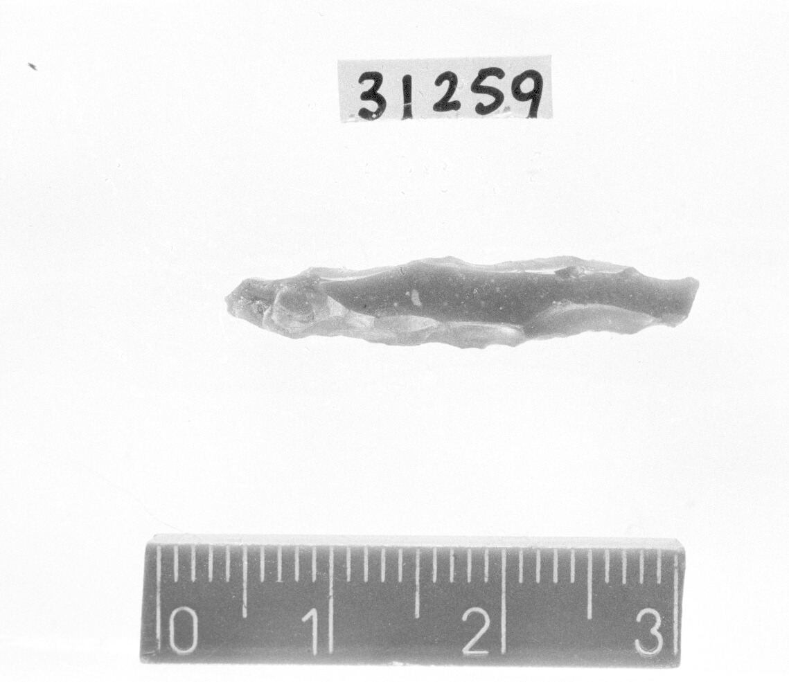 punta a dorso totale bilaterale con ritocco - Gravettiano (Paleolitico superiore)
