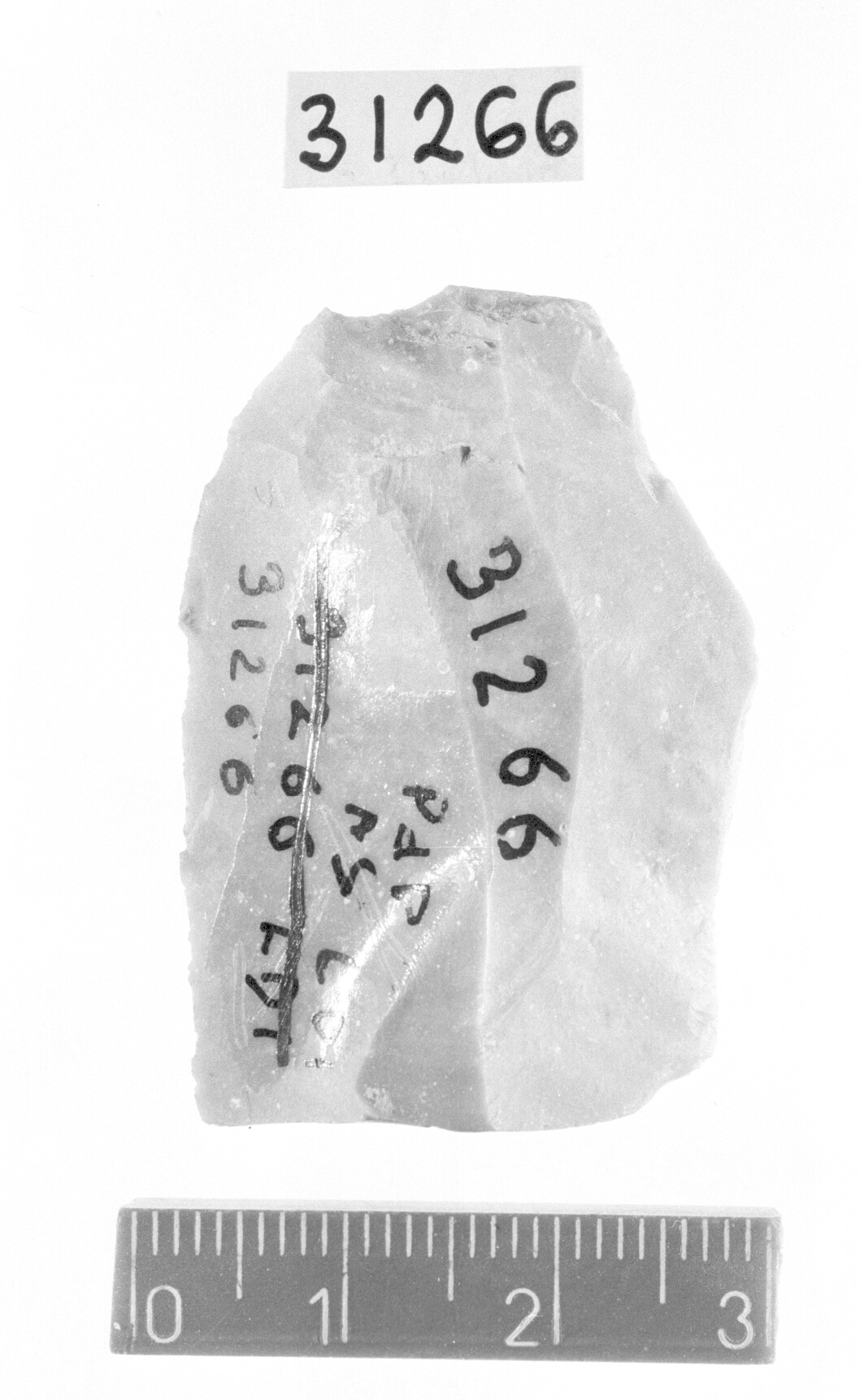 lama a dorso marginale/ frammento - Gravettiano (Paleolitico superiore)