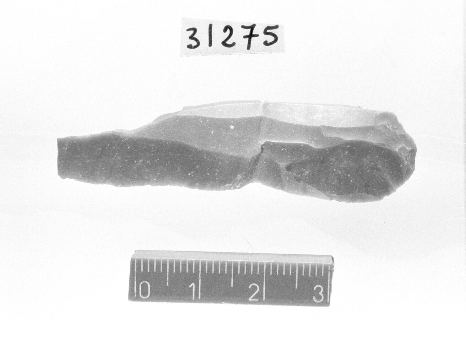 lama a cran distale - Gravettiano (Paleolitico superiore)