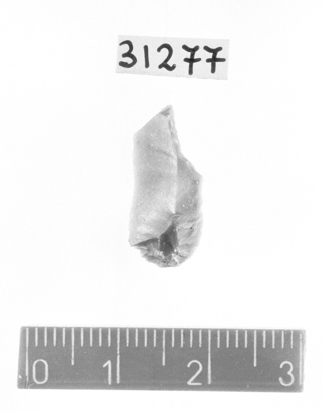 lama a cran/ frammento - Gravettiano (Paleolitico superiore)