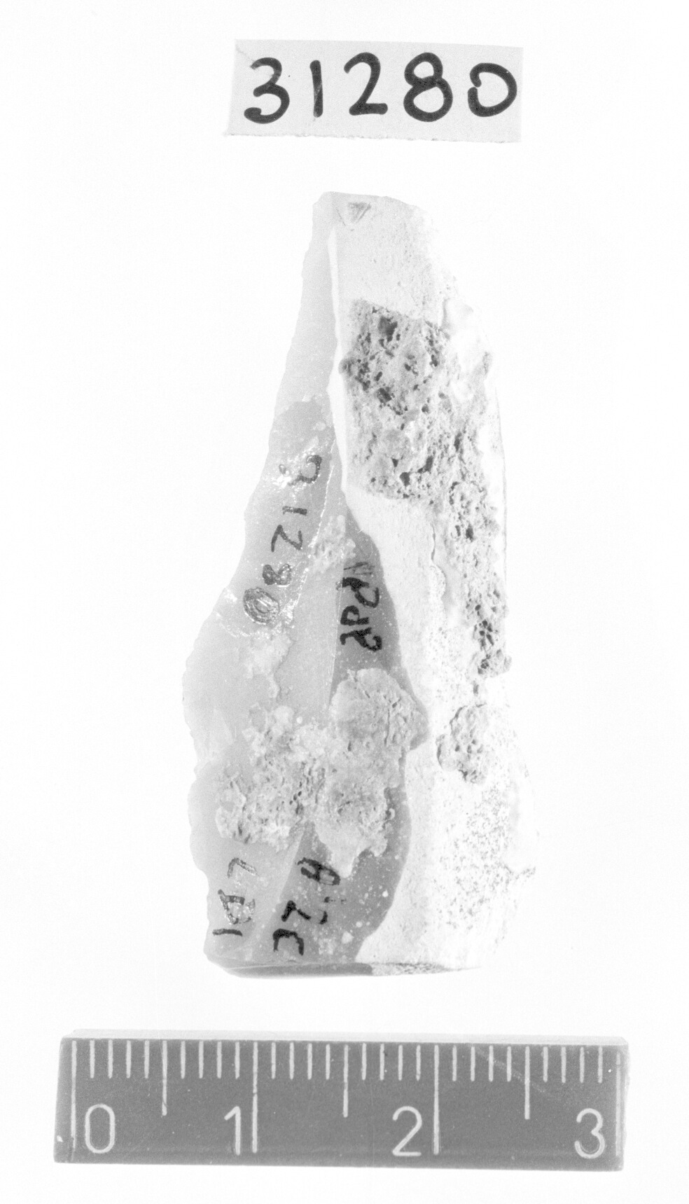 lama a dorso marginale/ frammento - Gravettiano (Paleolitico superiore)