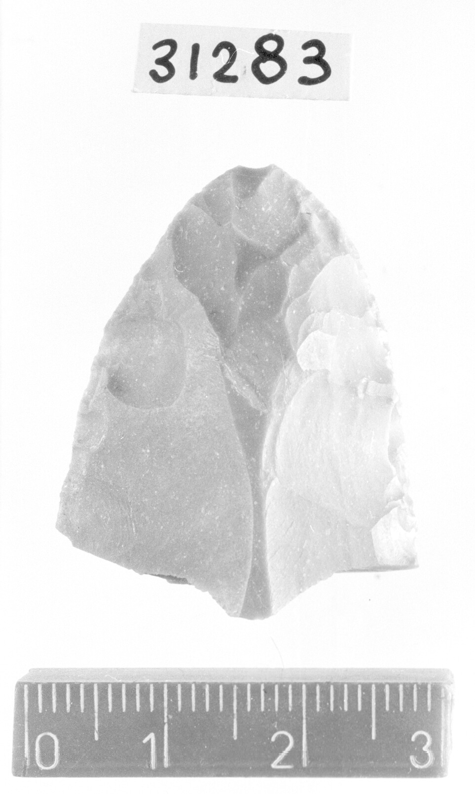 punta a faccia piana diritta/ frammento - Gravettiano (Paleolitico superiore)