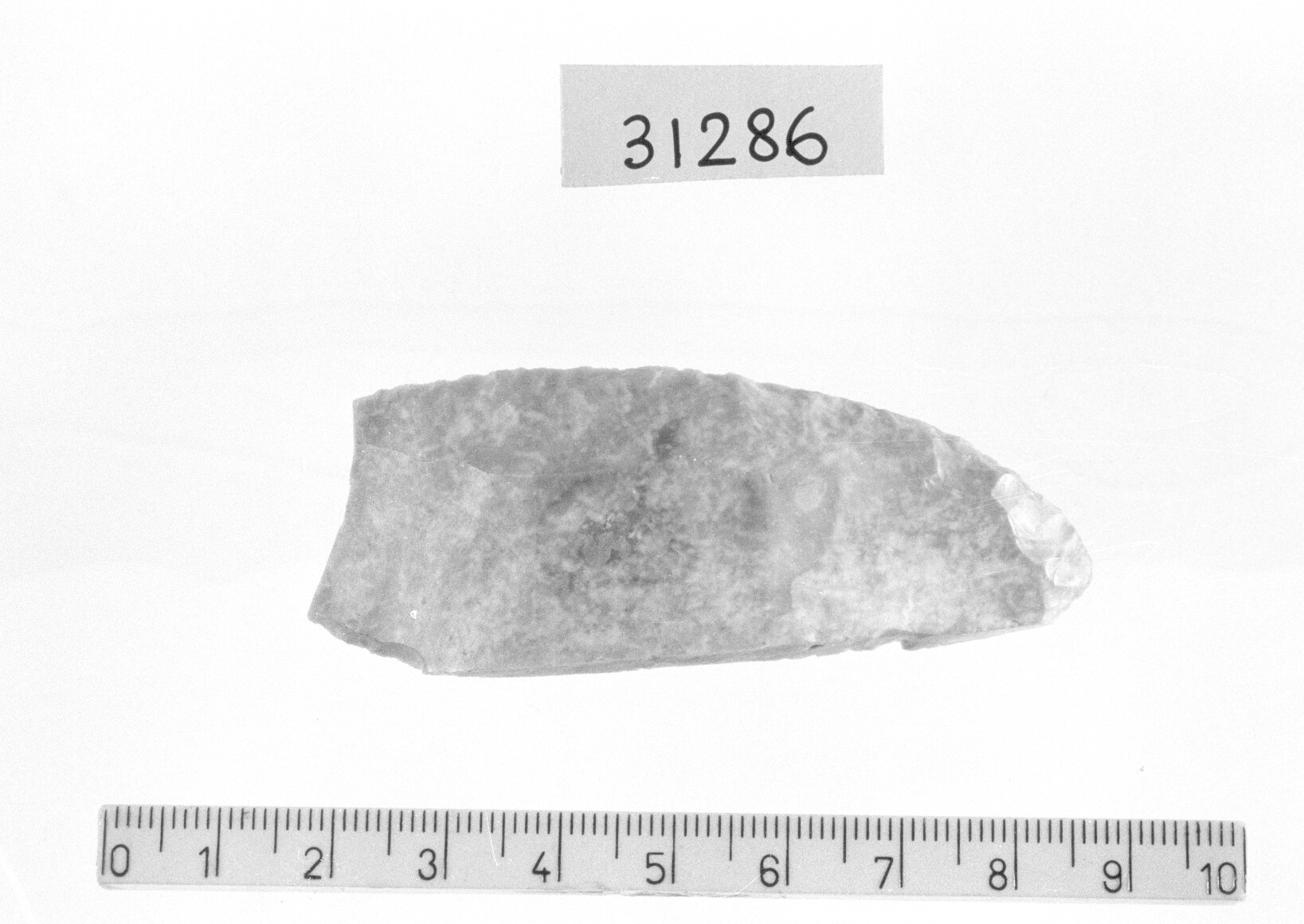 grattatoio a punta ogivale/ frammento - Gravettiano (Paleolitico superiore)